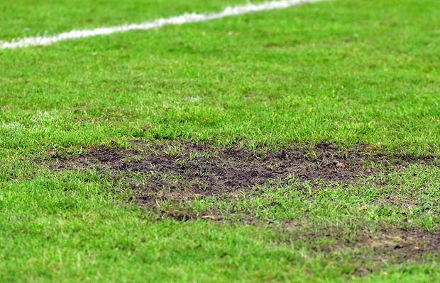 Imagini incredibile! Gazon deplorabil la Metaloglobus - Dinamo