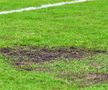 Gazon de Liga 3 la Metaloglobus - Dinamo, pe stadionul din Clinceni / FOTO: Cristi Preda (GSP)