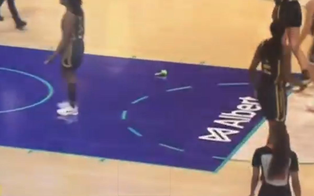 Adevărul din spatele jucăriilor sexuale aruncate pe parchet la meciurile din baschetul feminin american