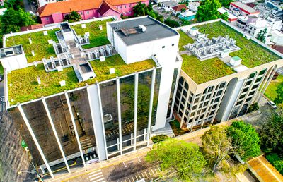 BMI Icopal: Acoperișurile verzi, un pas major pe care constructorii îl pot face spre un viitor sustenabil