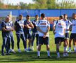 Mircea Lucescu i-a luat tare pe „tricolori” la antrenament: „Hai, prietenii mei, că n-am venit să stăm pe bancă!”