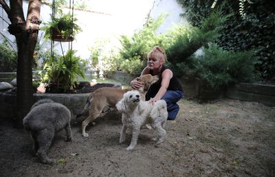 VIDEO Război pe YouTube! Gabi Szabo, atacată FRONTAL de propria nașă: „Îi hăituiești nevasta la CSM!” + Dreptul la replică