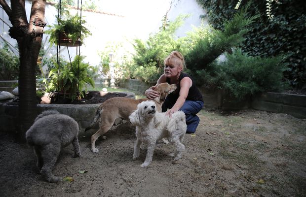 VIDEO Război pe YouTube! Gabi Szabo, atacată FRONTAL de propria nașă: „Îi hăituiești nevasta la CSM!” + Dreptul la replică