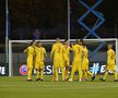 Islanda - România, semifinală play-off Euro 2020