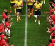 Scene superbe după Tonga - România, la Cupa Mondială de rugby