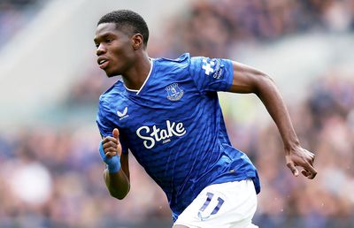 Studiu în Premier League: câte reclame la pariuri sunt într-o singură etapă de campionat