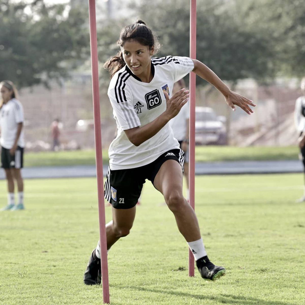 Stefany Ferrer Van Ginkel