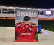 Dinamo - CFR Cluj, înainte de meci