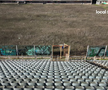 Arena de 25.000 de locuri din centrul orașului strigă după ajutor » Nu s-a mai jucat aici de 3 decenii