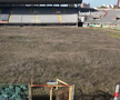 Cum a ajuns să arate stadionul Flaminio, situat chiar în centrul Romei
