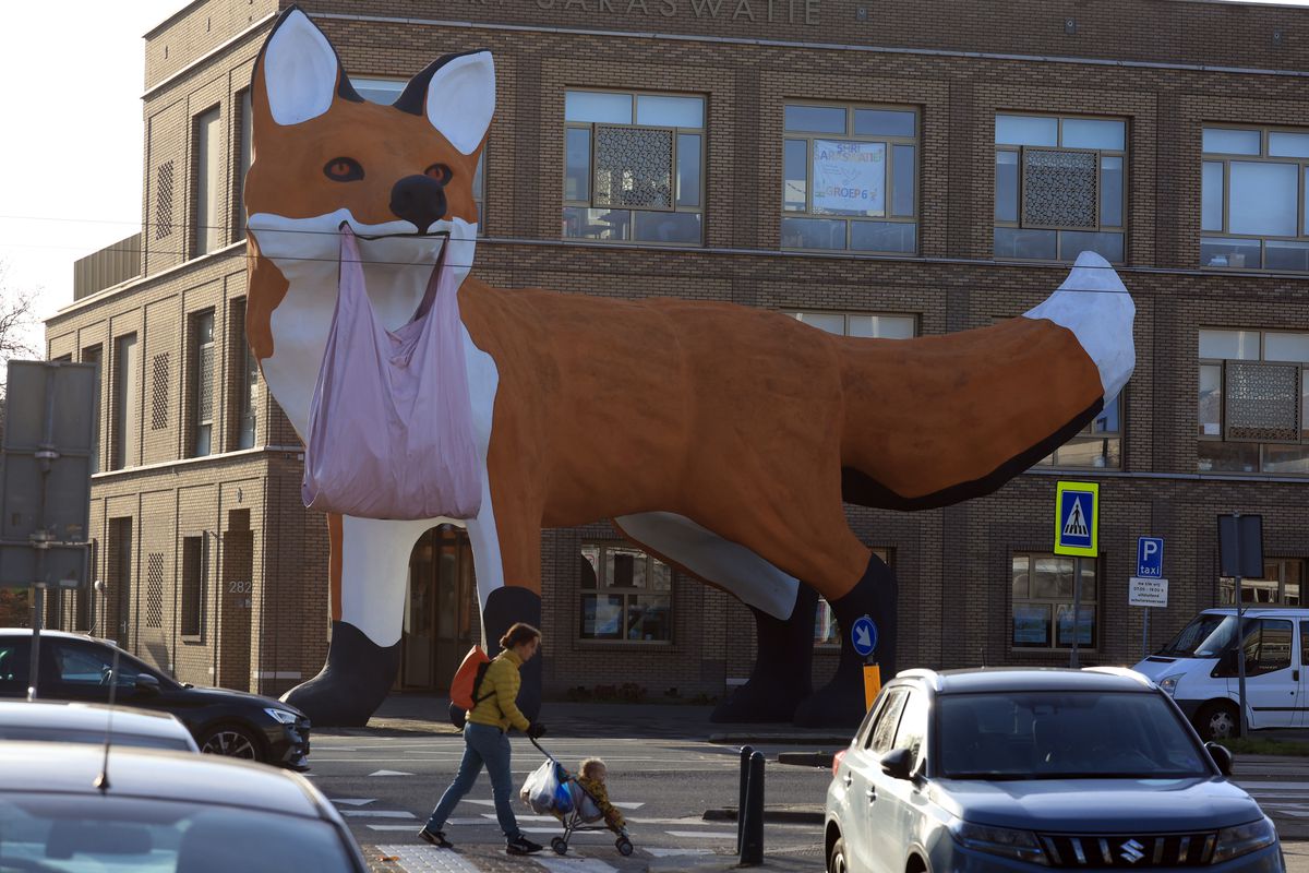 Imagini din Rotterdam