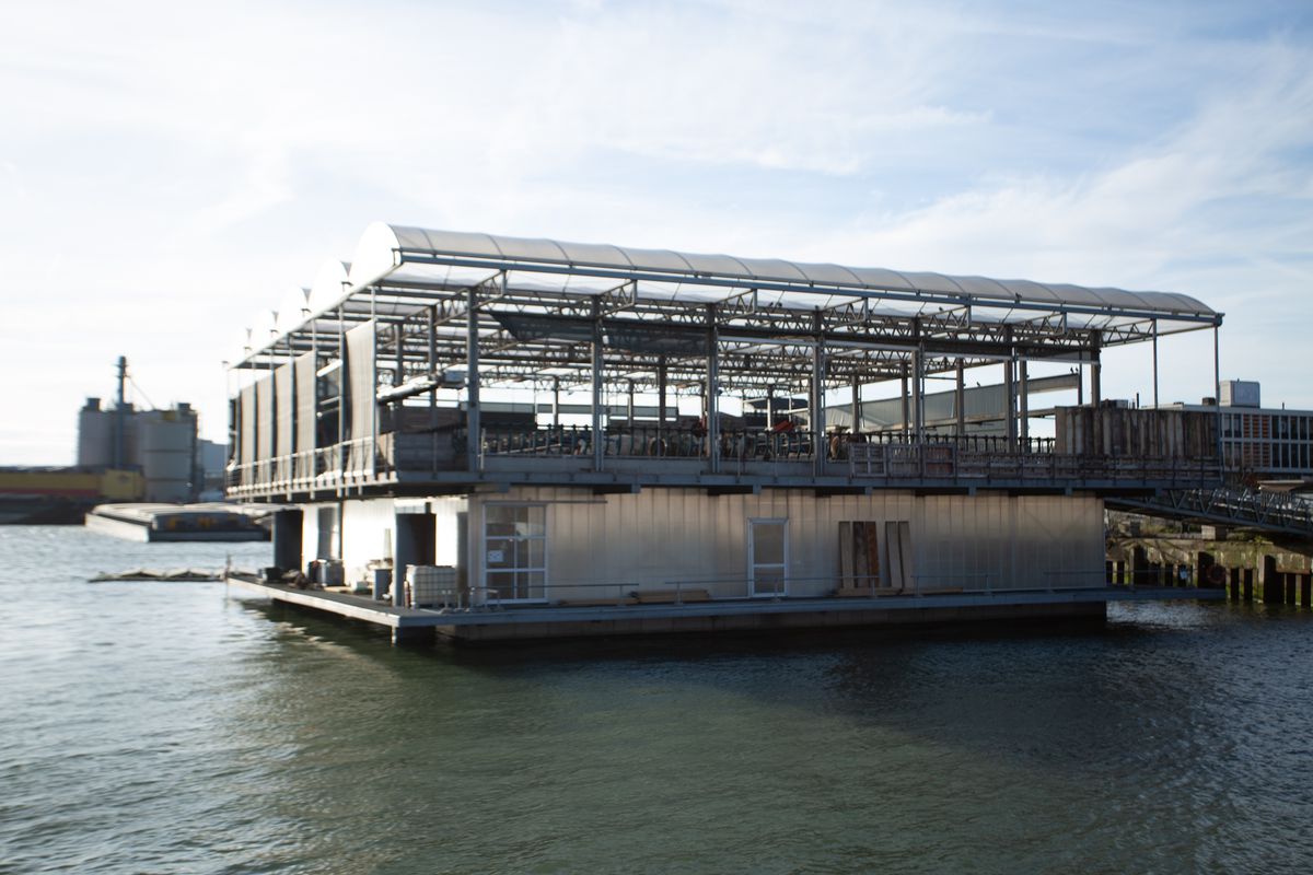 Imagini din Rotterdam