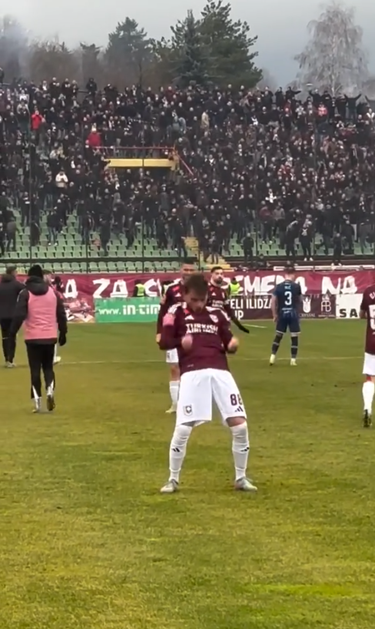 Gestul obscen făcut de Adem Ljajic