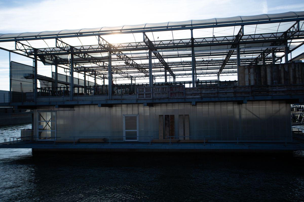 Imagini din Rotterdam