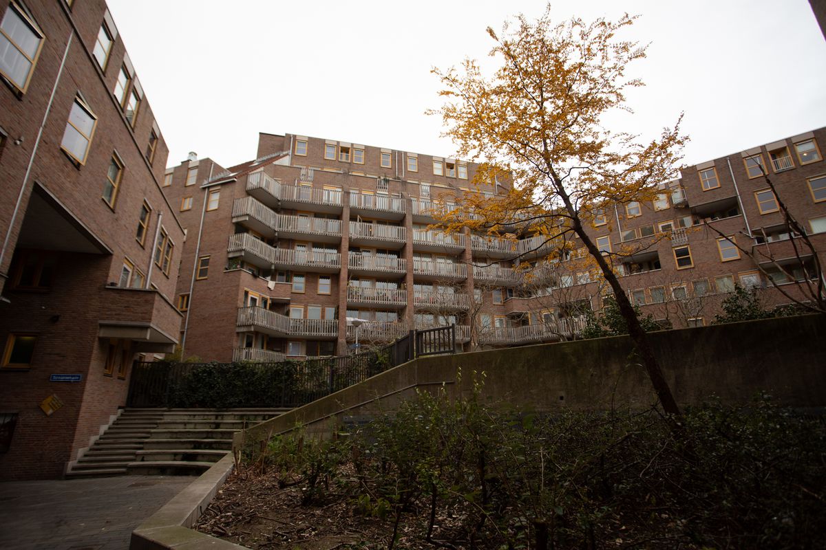 Imagini din Rotterdam