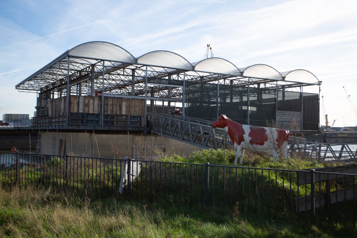 Imagini din Rotterdam