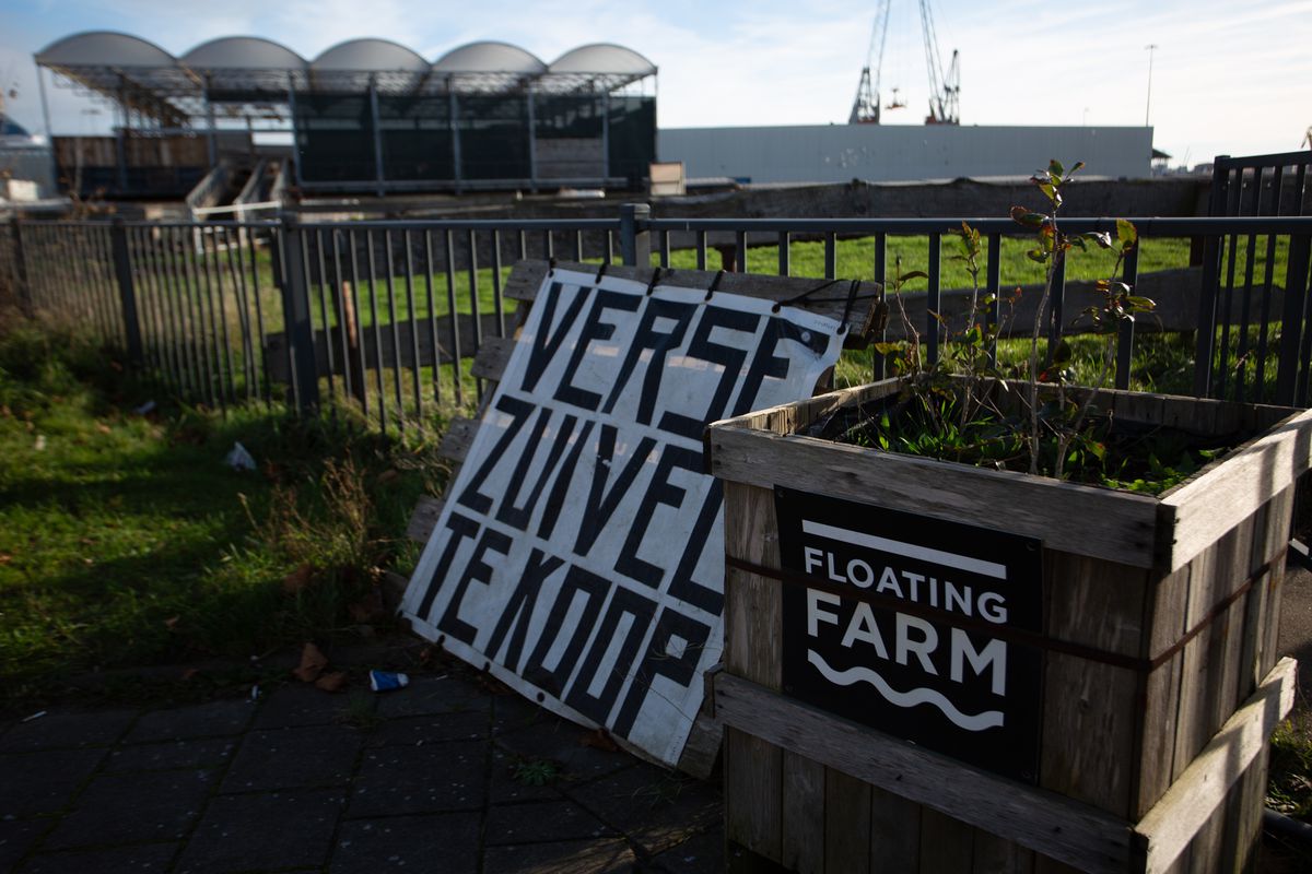 Imagini din Rotterdam