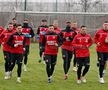 Jucătorii lui Dinamo s-au antrenat astăzi la Săftica. Sursă foto: FC Dinamo Official