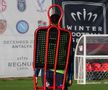 INCREDIBIL: FRF nu poate sancționa FCSB! De ce scapă echipa roș-albastră în cazul Pintilii