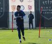 Pintilii e șeful, Filip și Stoica „secunzi” » Cum arată antrenamentele FCSB din Turcia + Echipa roș-albastră stă în hotel cu formația care i-a ofertat un titular