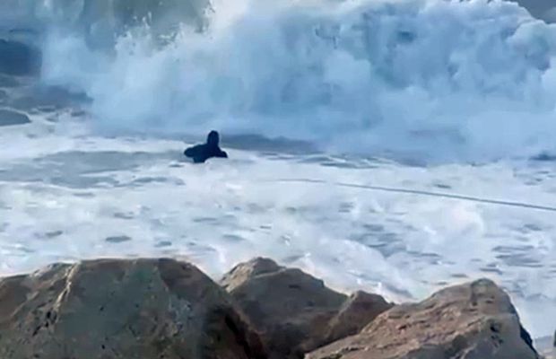 „Când l-a văzut în apă, a fugit în trening și șosete” » Un boxer și un luptător au devenit eroii zilei în Franța