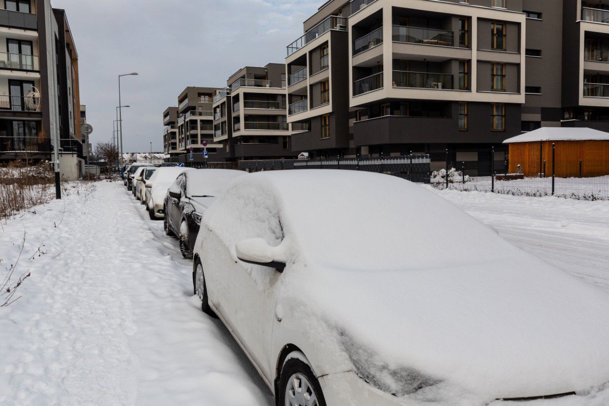 Ce trebuie să facă șoferii pentru a-și proteja mașina pe ger