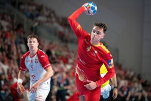 Ungaria - România, test dificil pentru naționala de handbal masculin, înainte de Campionatul European