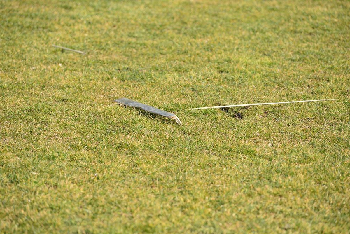 FOTO Măcel la un amical: ungurii și croații au intrat pe teren cu bâtele și s-au luat la bătaie