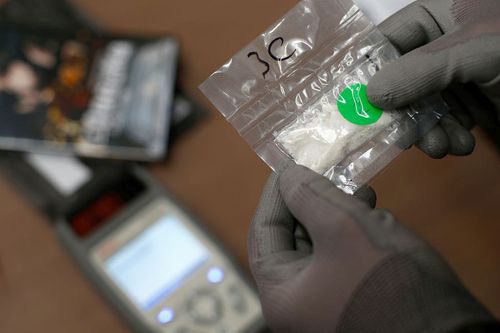 Cocaina este un drog puternic, originar din America de Sud, obținut din planta coca @Getty