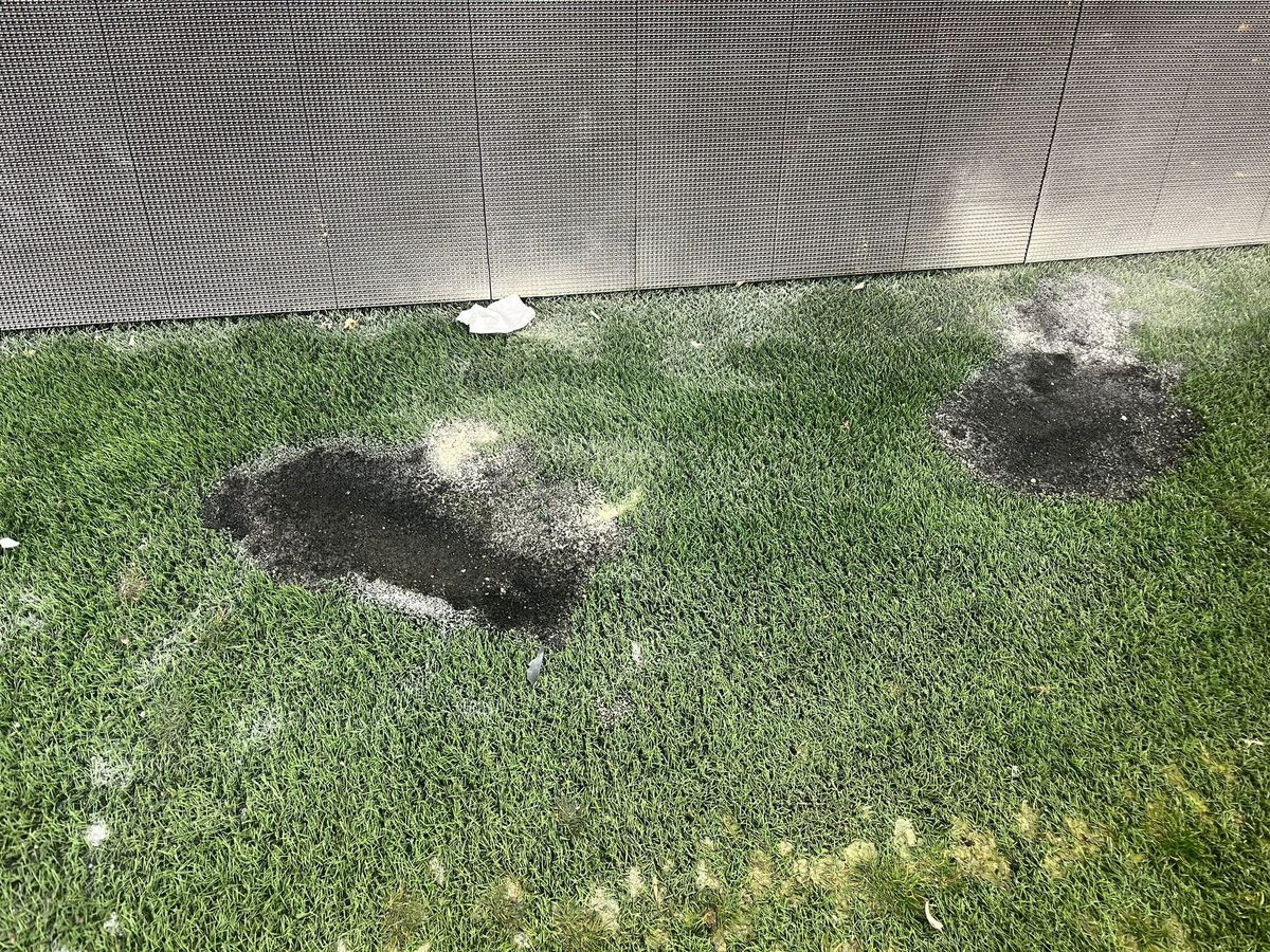 Alin Petrache, reacție plină de dispreț după incidentele de la Dinamo - UTA: „Acest stadion nu a fost făcut pentru fotbal! Pagubele nu mai pot fi remediate”