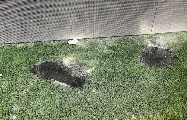 „Arcul de Triumf”, distrus după violențele de la Dinamo - UTA: „Am luat amprentele, iar responsabilii vor plăti”