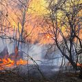 Sursă foto: YAROSLAV YEMELIANENKO/EPA-EFE/Shutterstock