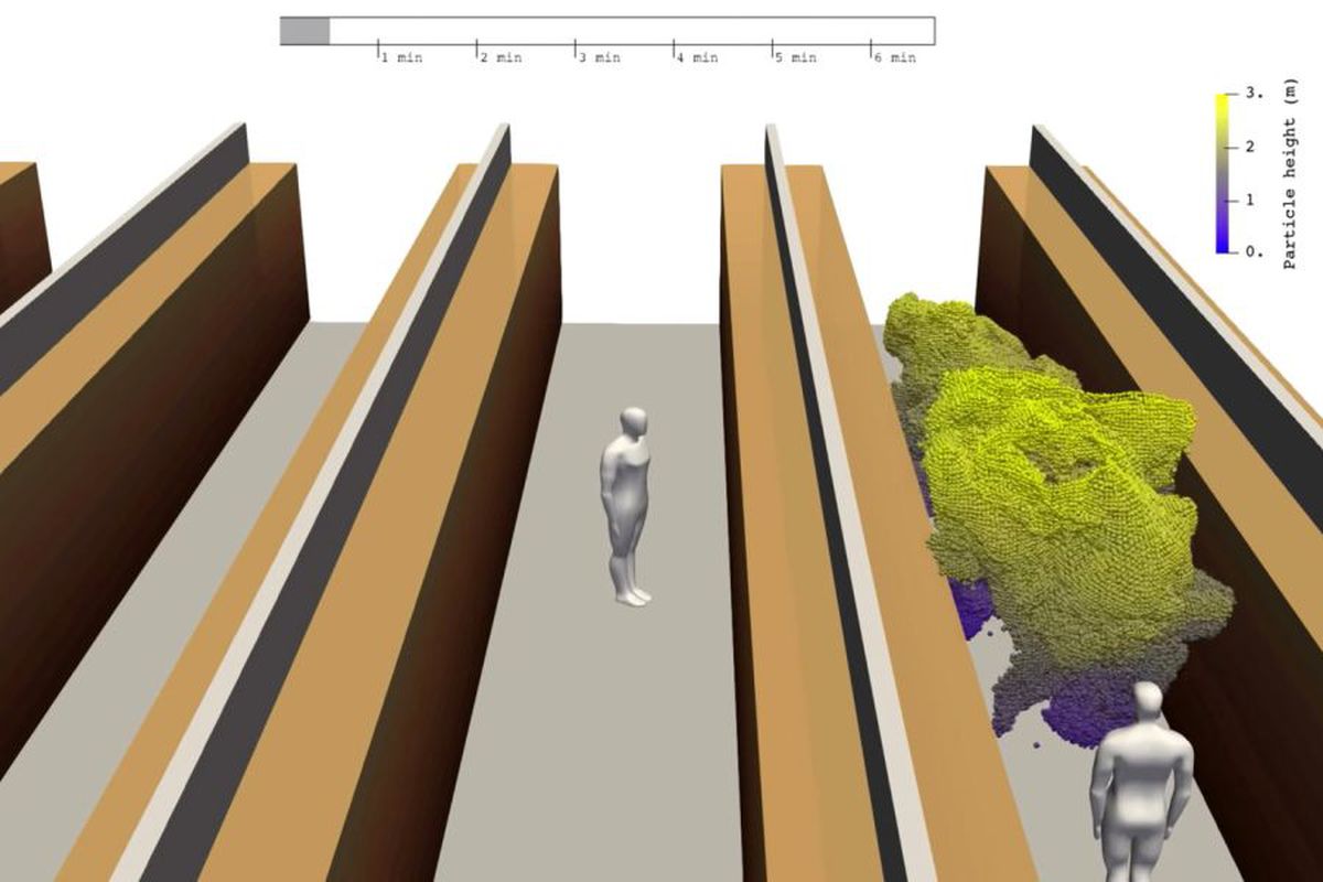 VIDEO. O nouă simulare realizată de cercetători arată cum se poate împrăștia COVID-19 în supermarket-uri