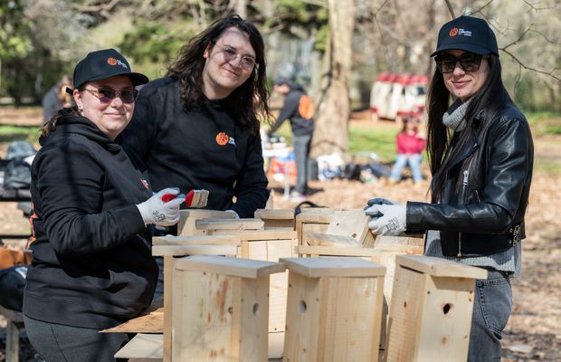 Kaizen Gaming mobilizează peste 200 de voluntari în 8 țări pentru a sprijini animalele fără stăpân