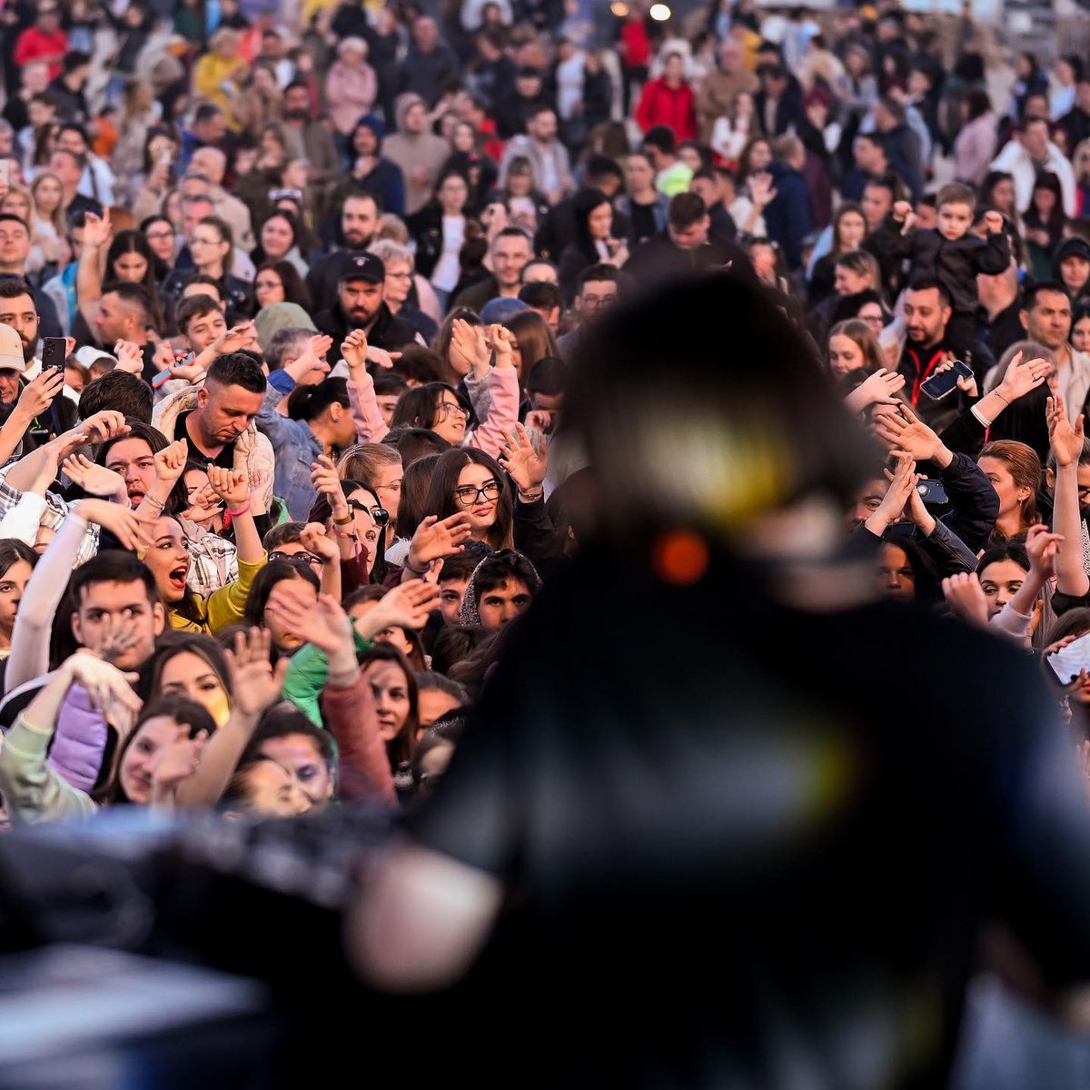 Grillfest - Arena Națională