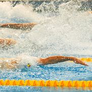 David Popovici în acțiune la Campionatele Naționale de la Otopeni în proba de 50 m liber FOTO Roxana Fleșeru