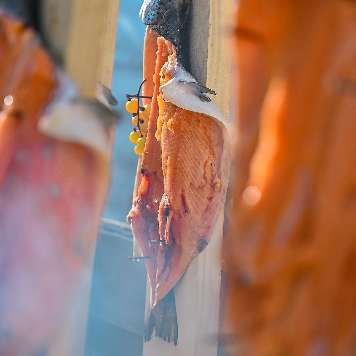 Grillfest - Arena Națională