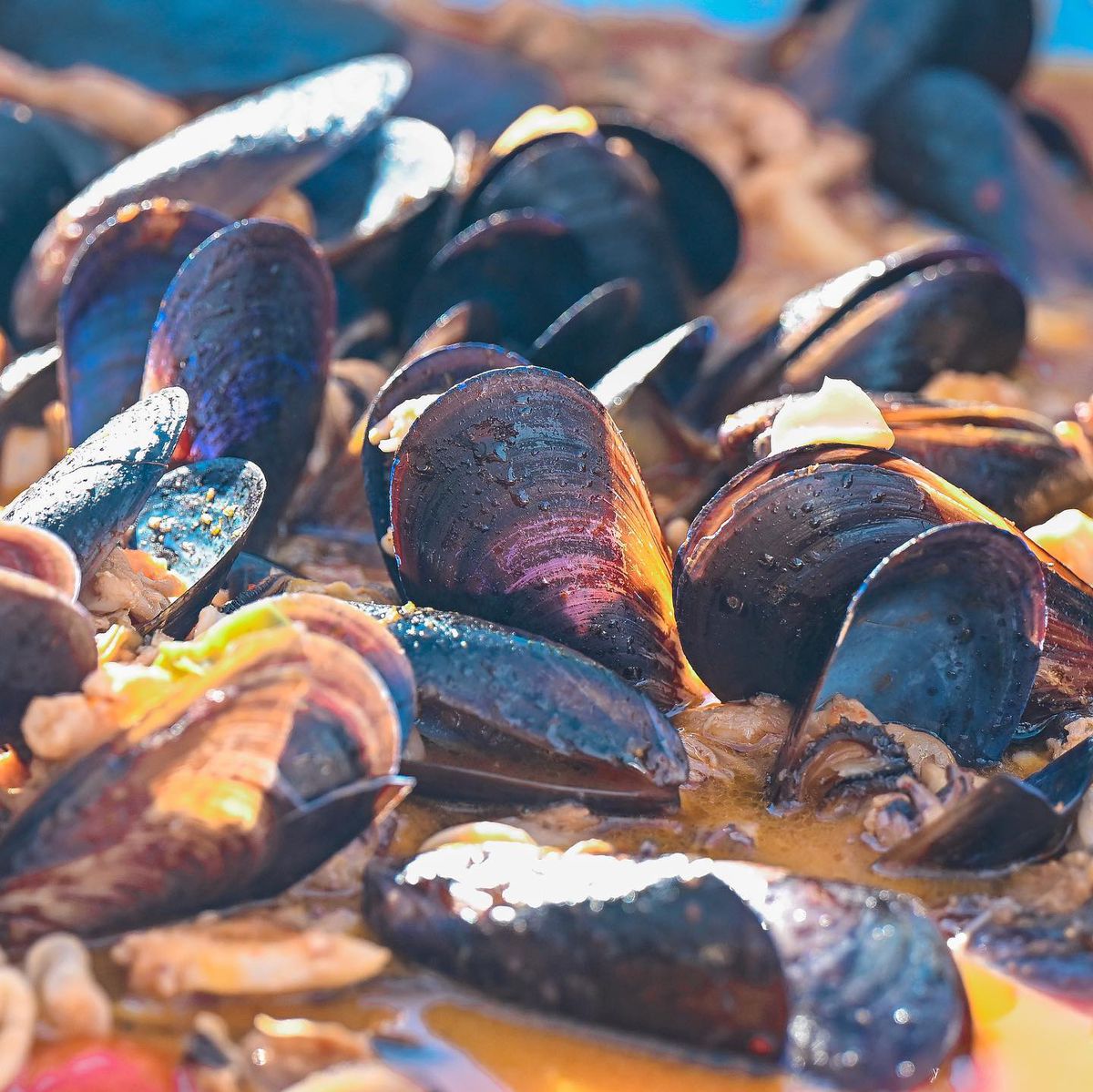 Grillfest - Arena Națională