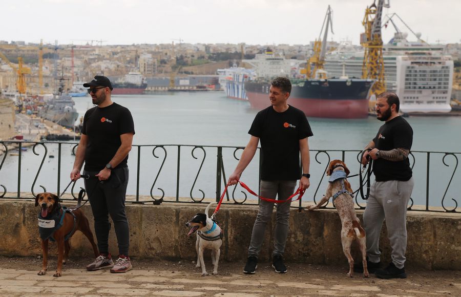 Kaizen Gaming mobilizează peste 200 de voluntari în 8 țări pentru a sprijini animalele fără stăpân