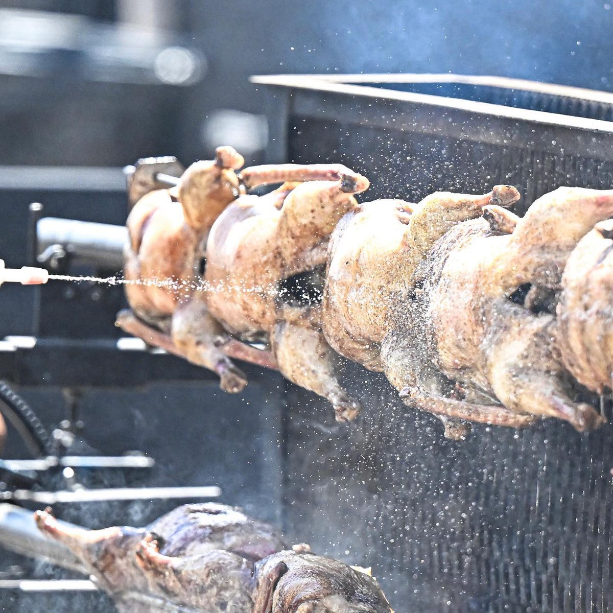 Grillfest - Arena Națională