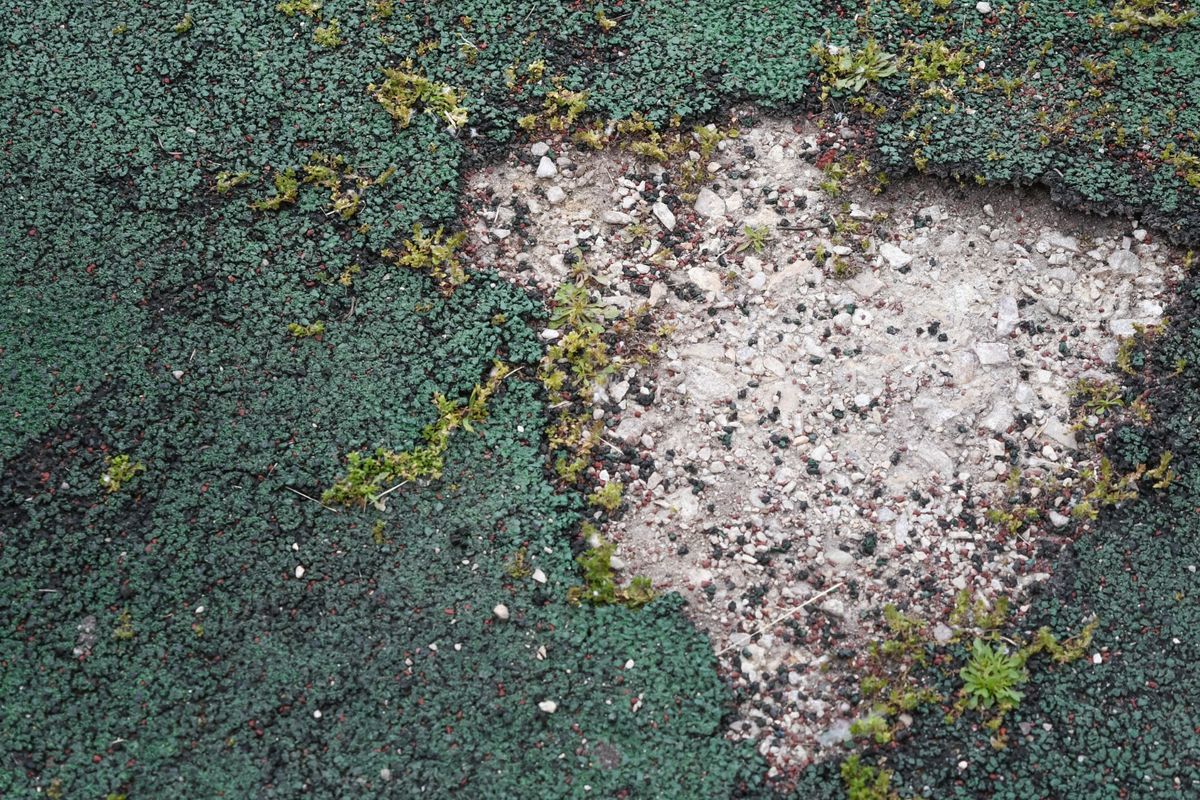 Investiție de 11 milioane de lei în sportul românesc: „Lucrările ar urma să înceapă în toamnă”