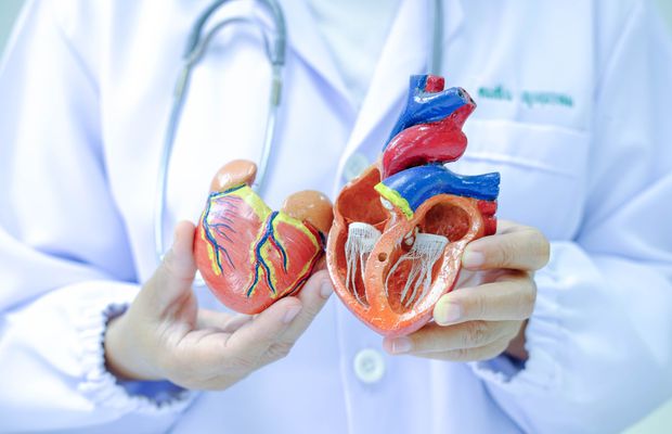 Simptomele insuficienței mitrale și cum să le recunoști