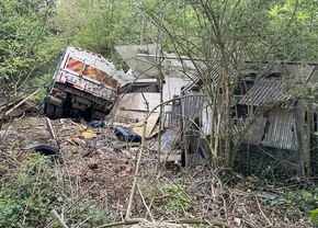 Camionul unui șofer român a ajuns obiectiv turistic într-o pădure din Germania, după ce a fost abandonat