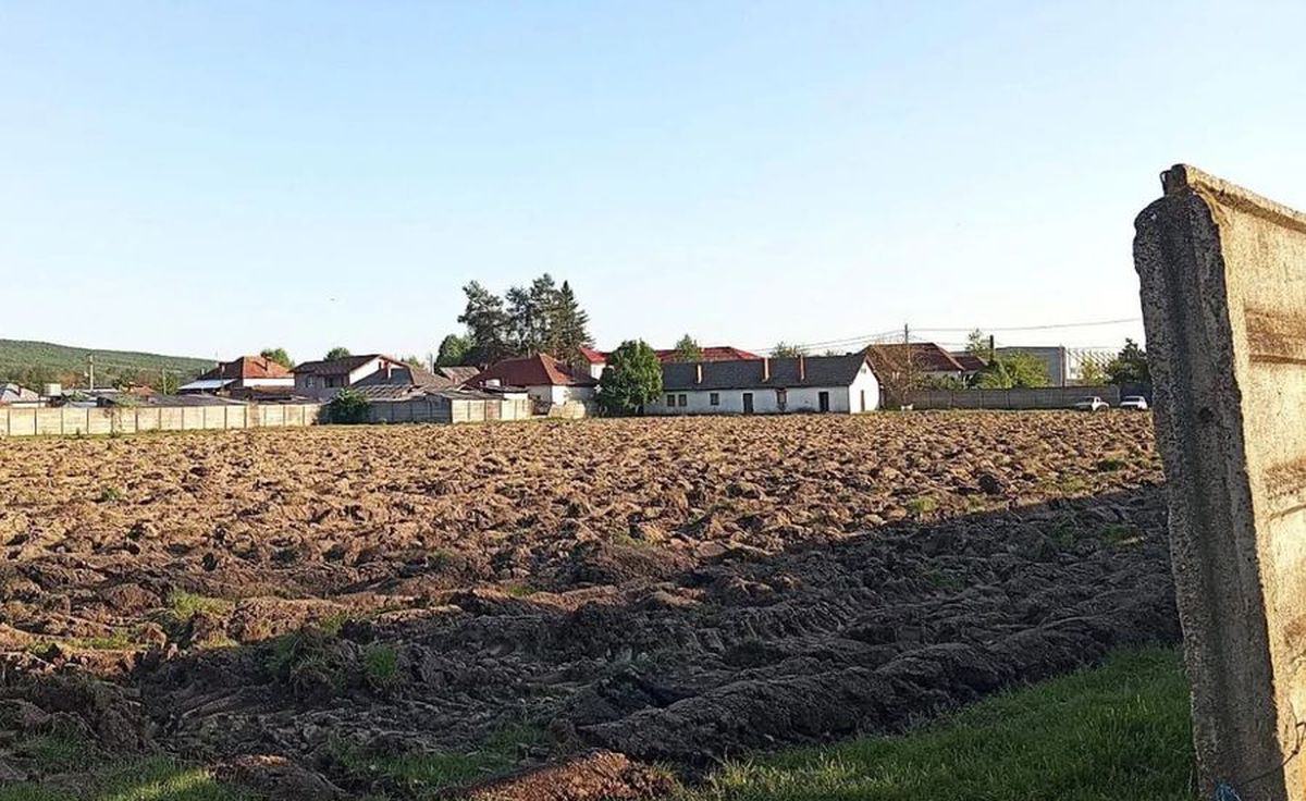 Stadionul pe care Gigi Becali juca fotbal în campania electorală a fost arat pentru a se cultiva porumb