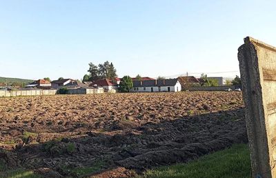 Stadionul pe care Gigi Becali juca fotbal în campania electorală a fost arat pentru a se cultiva porumb