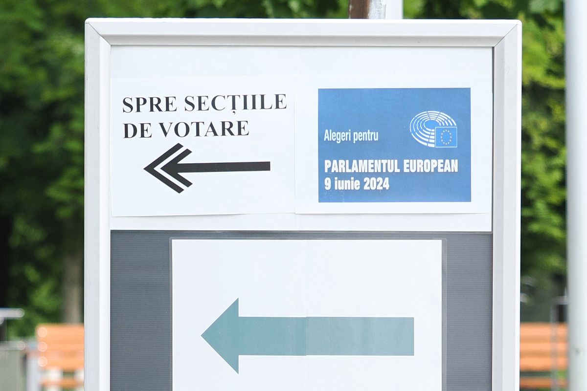 Românii din Germania au ieșit să voteze pentru Parlamentul European: „Noi suntem forța care trebuie să schimbe ceva în România”