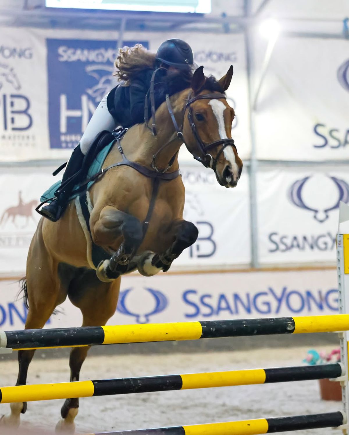 Cel mai prețios cal al lui George Copos a murit subit