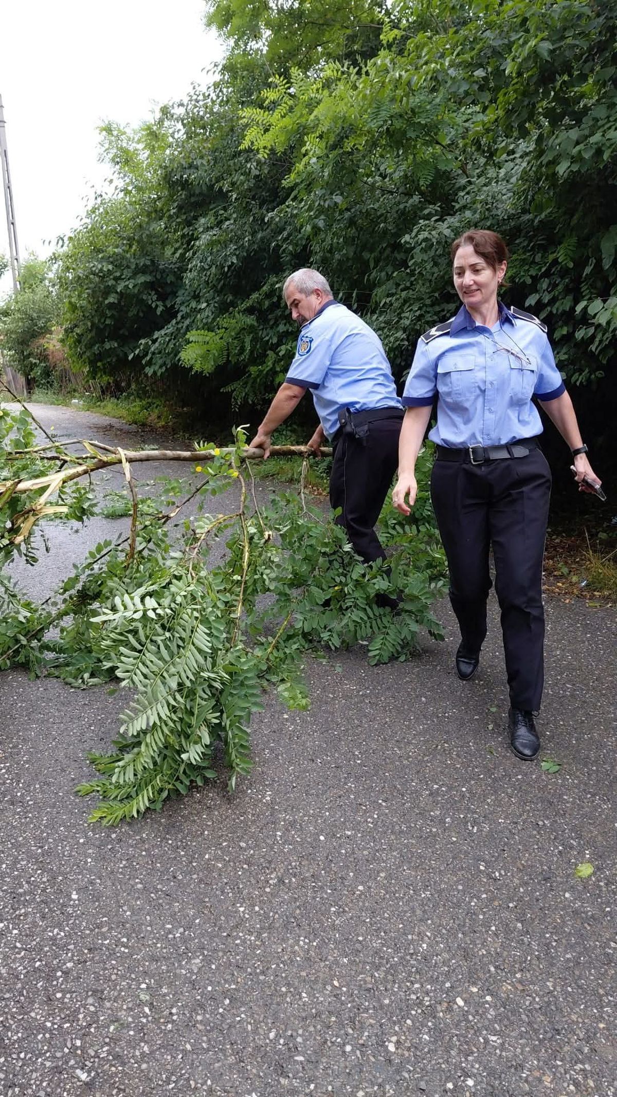 Dezastru în Mioveni, după furtună