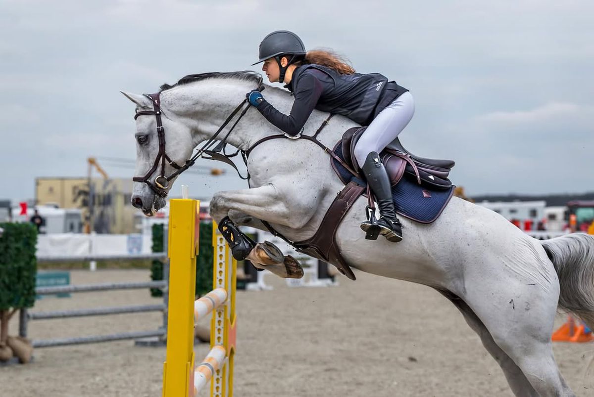 Cel mai prețios cal al lui George Copos a murit subit