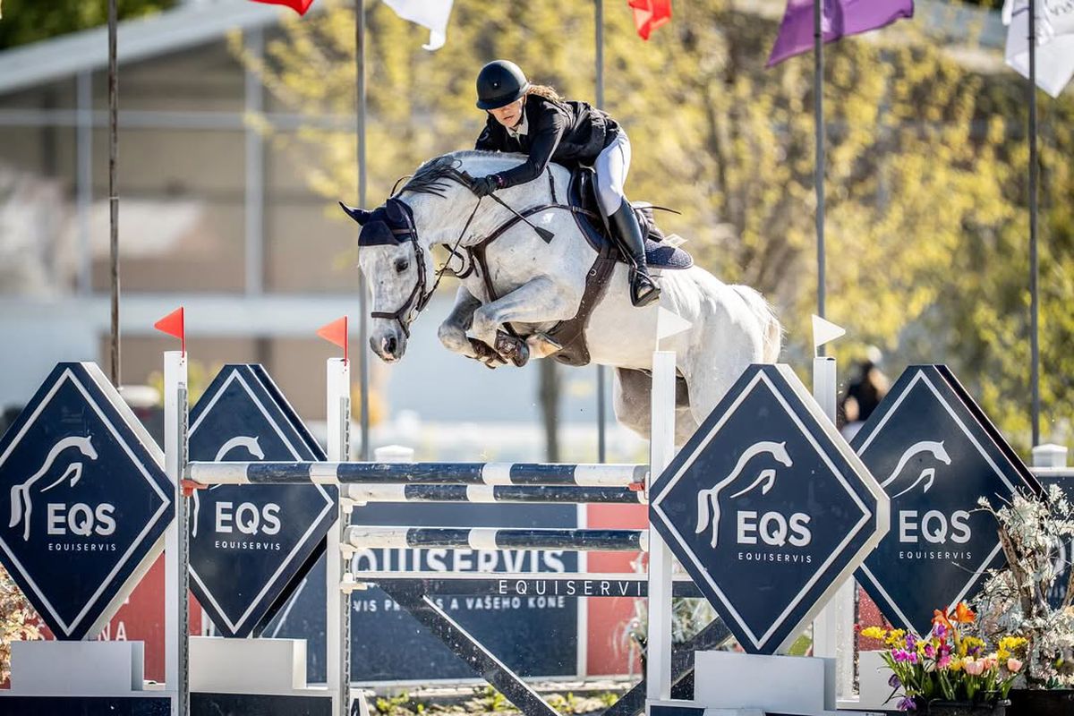 Cel mai prețios cal al lui George Copos a murit subit